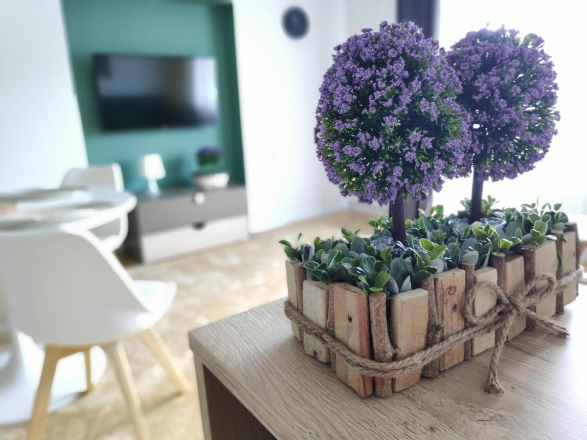 Apartament Karpaty Krynica Zdroj Dış mekan fotoğraf